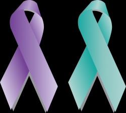 자궁경부암 예방캠페인 심볼인 '퍼플 리본'(출처-pixabay)