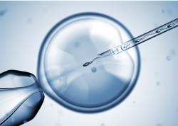 정자를 자궁안으로 주입하는 인공수정(출처-미즈메디여성병원 홈페이지)